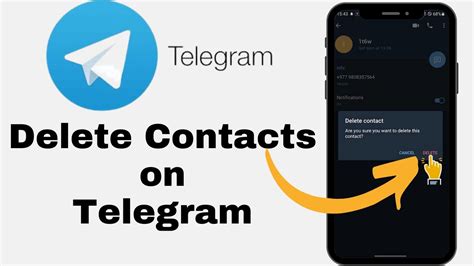 Telegram: Contact @mym